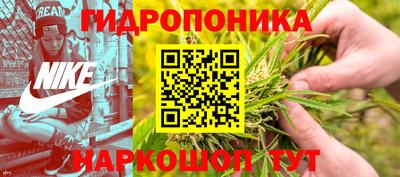 мяу мяу мука Бугуруслан