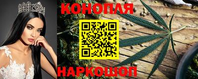 мяу мяу мука Бугуруслан