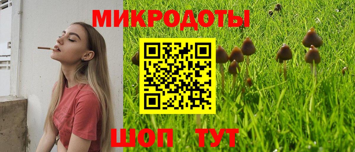 Галлюциногенные грибы Magic Shrooms Павлово