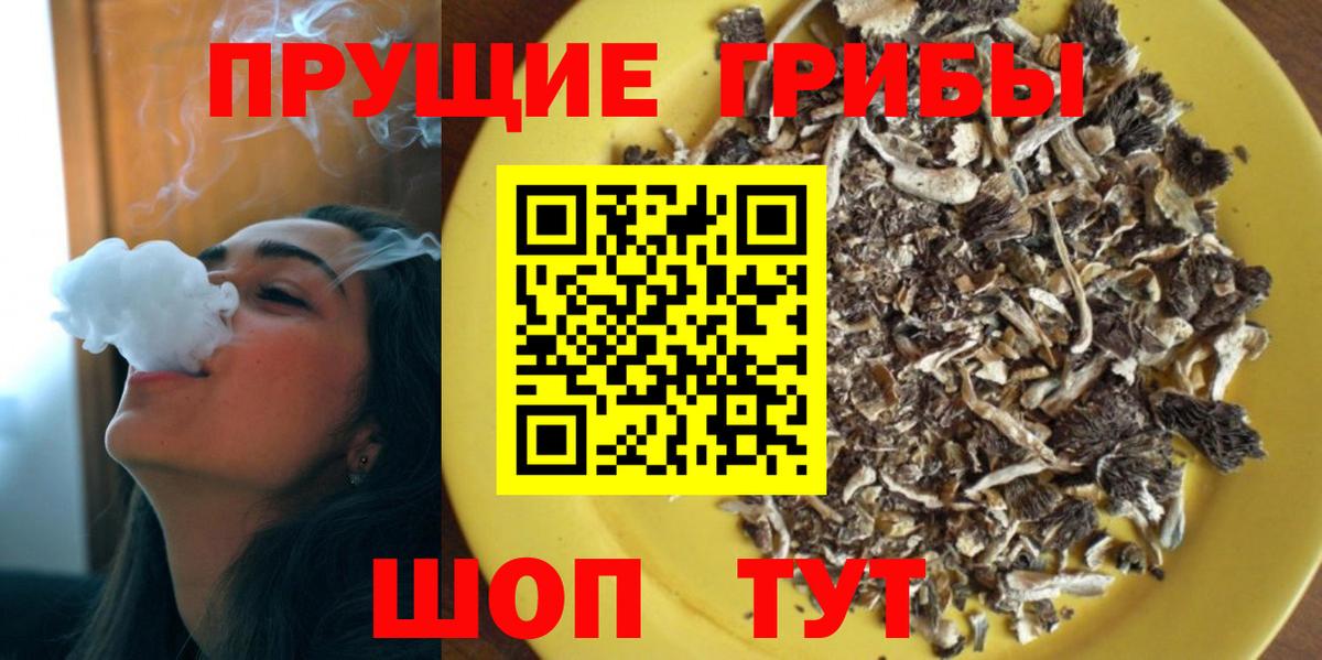 где купить наркотик  Псилоцибиновые грибы GOLDEN TEACHER  Псилоцибиновые грибы мухоморы  Вход с VPN  Павлово 